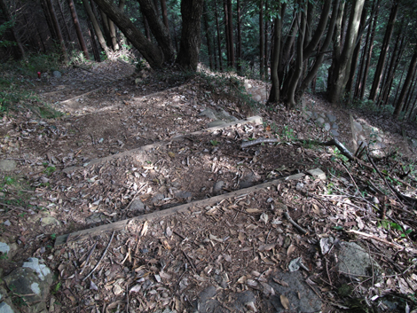 20171005hike (342)